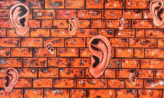 Ѕидови со уши